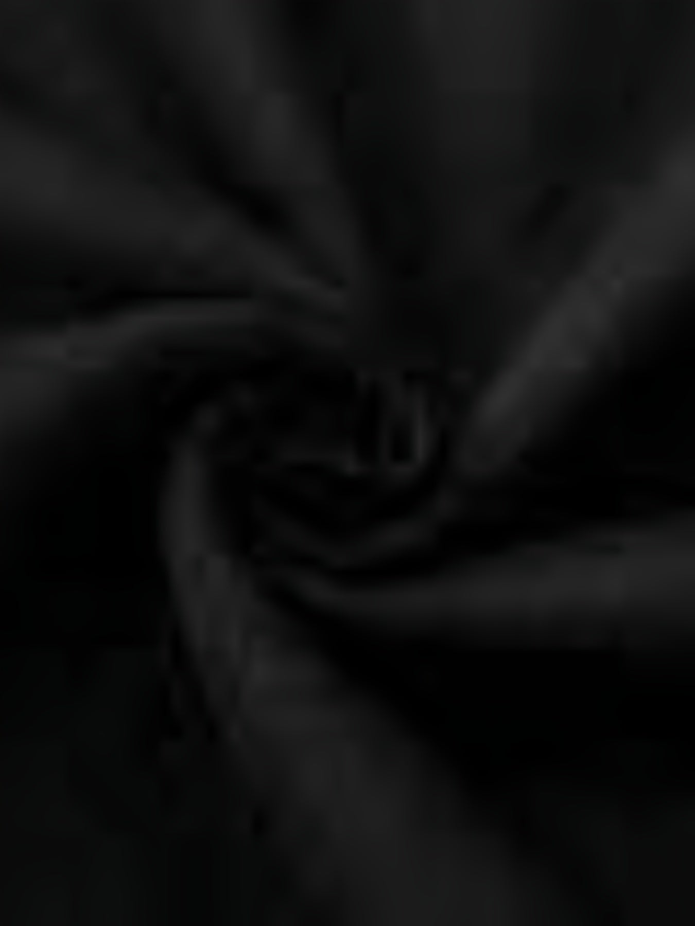 [Popular Choice] Men's Baseball Uniform BQF-Y25 Eck Yellow Selection